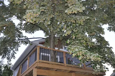 Image de Nouveau Loft avec vue sur la rivière South depuis la terrasse de la cabane dans les arbres!