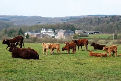 Image de Votre gîte en Ardenne : 19. 50 € par jour par personne - Meilleur prix garanti