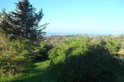 Deux pièces, cuisine équipée, balcon vue sur la mer, jardin, barbecue