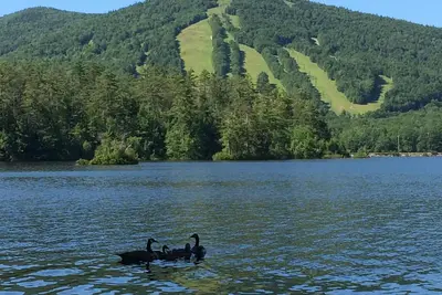 Image de Charmant chalet au bord de l'eau avec vue sur la montagne et accès à la plage privée!