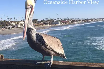 Image de Family Fun Resort sur la plage avec sable, surf, port à Oceanside, Californie