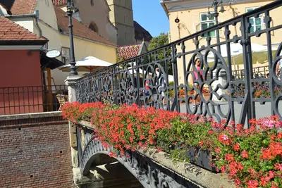 Image de Hermanstadt - Sibiu Charmant emplacement, bon accès au centre historique