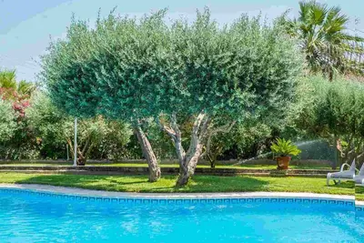 Image de Cas Home, Finca Ă BĂşger, Majorque