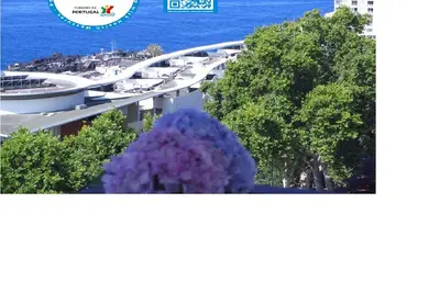 Image de Appartement vue sur l'océan tranquille