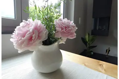 Appartement Lumineux Et Charme シ