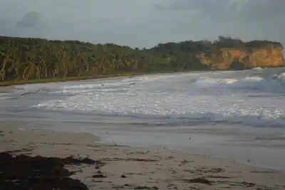 Image de Villa'Marie-Magdeleine Ă 300 m, de la plage du Petit anse Macabou
