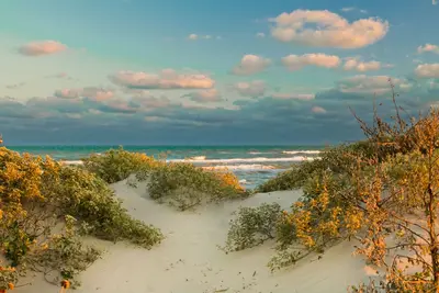 Image de North Padre Island Beach Maison de ville