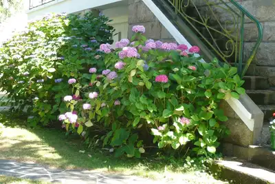 Image de Les Hortensias, Grand jardin, parking clos. Proche Mer, Carnac Lorient Quiberon.