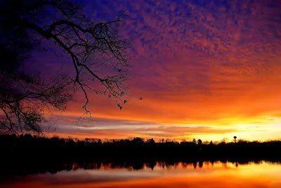 Image de Oasis Lakefront - Près de Ann Arbor, Novi, Livonia