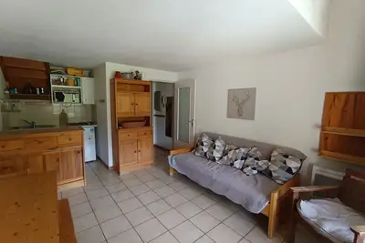 Image de Duplex 6 pers, 2*, skis aux pieds, animaux admis, ascenseur