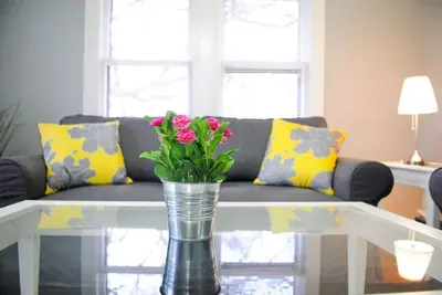 Image de 2bd / 1ba - The Treehouse - 1930 Hyde Park Home par Ut / Downtown
