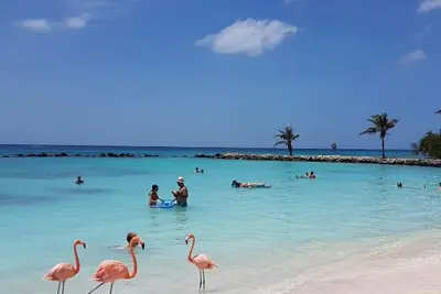 Facile 0. 3 mile à pied de la célèbre bande de Palm Beach