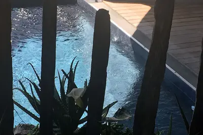 Image de Loft sur le Mont St Clair avec sa piscine privée et vue sur la mer - Sete