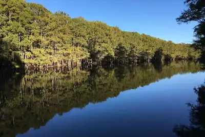Image de One of a Kind-Get Away \/ Big Cypress Bayou Près Jefferson & Caddo