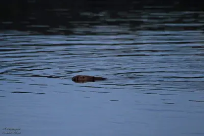Image de Charmant appartement au bord de la rivière