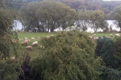 Image de Charmant appartement au bord de la rivière