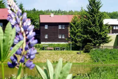 Image de Appartement de vacances dans les Monts Métallifères avec possibilité d'apithérapie