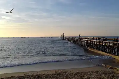 Image de Sur le port de pĂŞche et de plaisance, Plages Ă 400m;Shopping Capbreton Hossegor