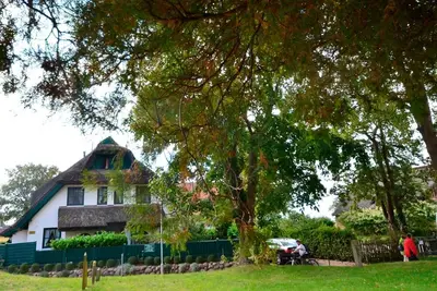 Image de Maison de vacances pour 8 personnes avec 100m² à Groß Zicker (20544)