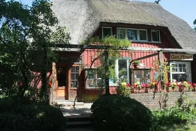 Image de Appartement \/ app. pour 2 personnes avec 25m² à Prerow (86771)