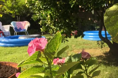 Image de Maison ancienne avec jardin - mer, détente et vacances \/ Casa Terra - Iun P7085