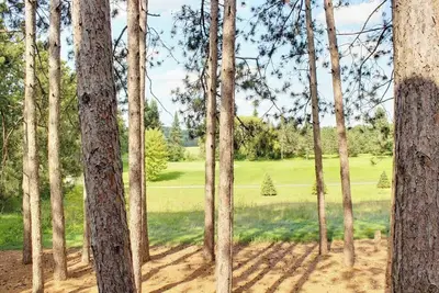 Image de Bois de montagne de Noël à 4 milles au sud-ouest de Wisconsin Dells