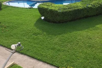Image de Nouvelle liste! Belle maison Ă Nuevo Vallarta