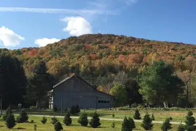 Image de Charmante cabine - cadre magnifique
