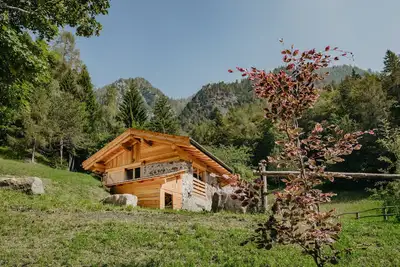 Image de Odomi Maso Dans Les Bois