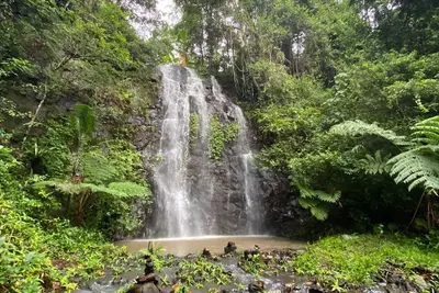 Image de Nimbin Waterfall Retreat
