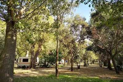 Image de Village Camping Fico d'India