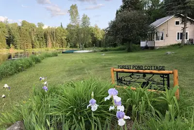 Image de Adirondack Cottage - Four Season, Pet-Friendly, Cosy & Beautiful. Lisez les avis!