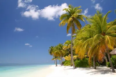 Image de Une des plus belles plages privées aux États-Unis! Très bien situé pour le plaisir des activités-Wifi