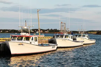 Image de So Close To The Port / Plage vous pourrez déguster le sel Saltoftheharbor # 5