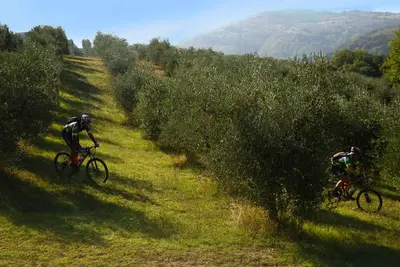 Image de Agriturismo Fattoria Aquilone