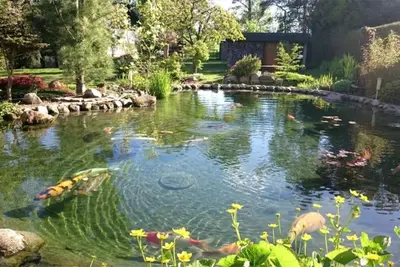 Image de Maison de vacances dans un endroit charmant et fantastique sur le lac Plauer pour 4 personnes
