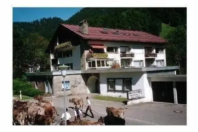 Image de Appartement Sport Alpin 9