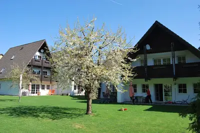 Image de Appartement Stricker type B, balcon 2\/2