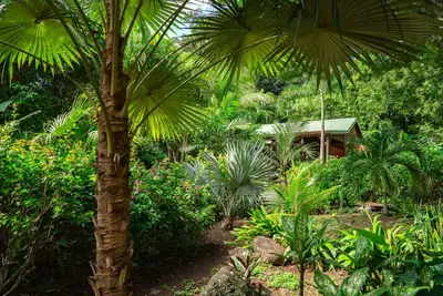 Image de Cabane cosy et insolite niché dans un jardin tropical : la case créole en bois