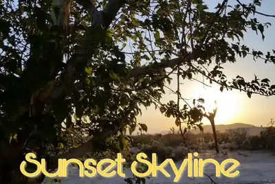 Image de \"Sunset Skyline\" Profitez d'une vue majestueuse et paisible lors de cette escapade huppée de Joshua Tree