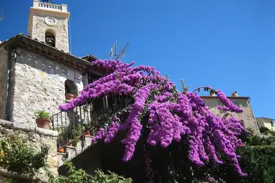 Image de Charmante maison de caractère, un  havre de paix parmi les orangers du jardin
