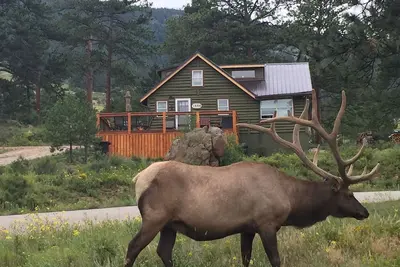 Image de Cabine originale du parc national des Montagnes Rocheuses avec mises Ă jour modernes et 360 vues sur la montagne