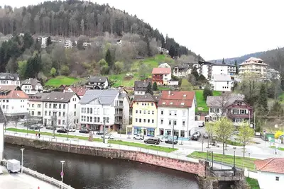 Image de Ferienwohnung Enzblick, 90qm, 2 Schlafzimmer, max. 4 Personen