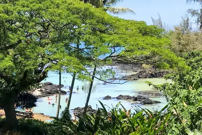 Image de KeALOHA - Vues Incroyables, Spectacular Beach Park, le meilleur snorkeling, tortues