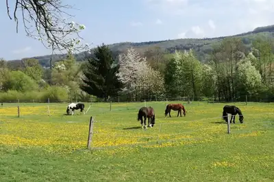 Image de Des vacances parmi des animaux heureux!