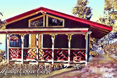 Image de Ocean View Cabin situé sur Organic Farm Café avec Sentiers de randonnée