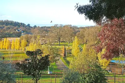 Image de Yosemite Gateway / HorseRanch Cottage / Bain de trempage en plein air & Douche / Vues panoramiques