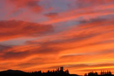 Image de Suite Sylvan Meadows - Retraite de charme au coeur de la vallée de Cowichan