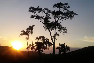 Image de Daintree Holiday Homes - Yurara - Vues sur l'océan et un bain à remous de luxe pour deux