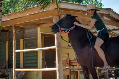 Image de Petite cabane confortable dans une ferme tropicale, avec des chevaux dans le jardin